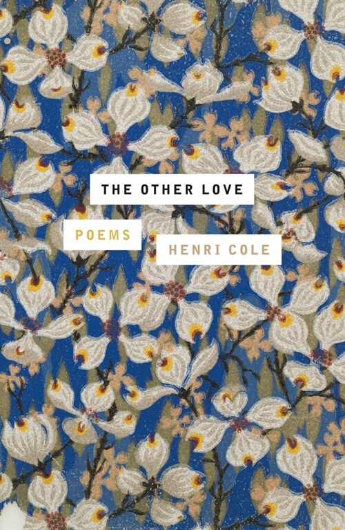 The Other Love: Poems (Paperback)