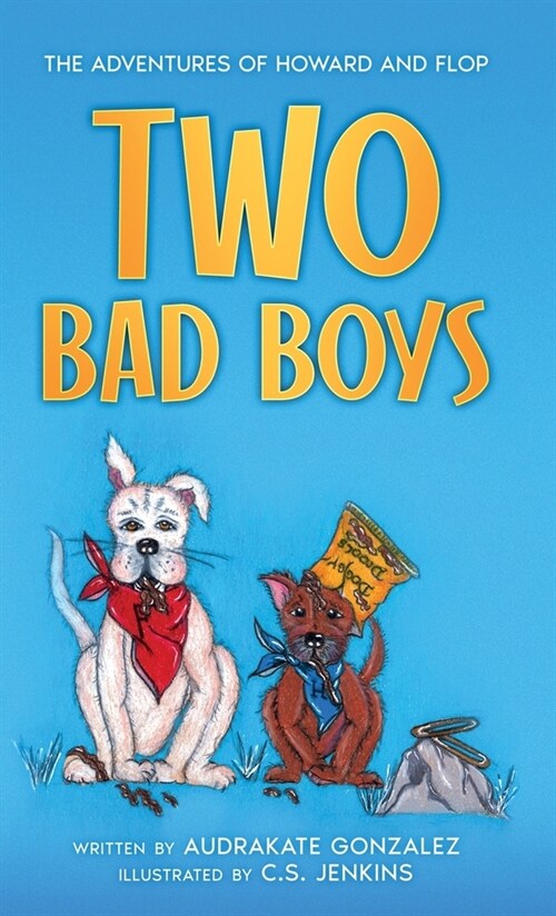 Two Bad Boys (Hardcover)