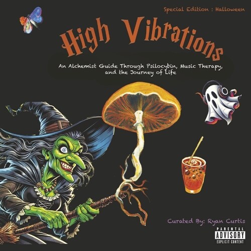 High Vibrations: An Alchemist Guide Through Psilocybin, Music Therapy, and the Journey of Life (Hardcover)