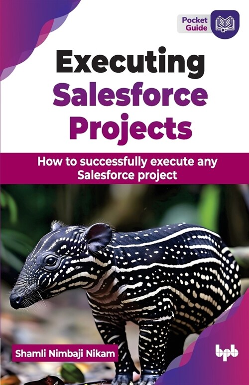 Executing Salesforce Projects: How to successfully execute any Salesforce project (English Edition) (Paperback)