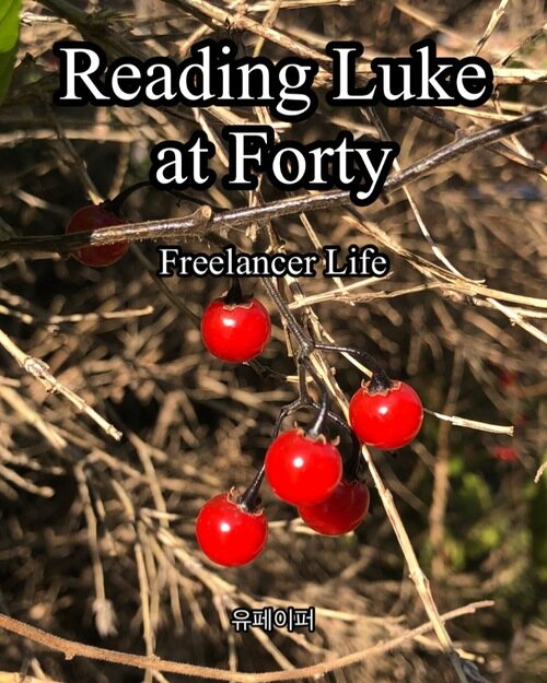 Reading Luke at Forty