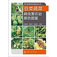 豆類蔬菜病蟲害诊治原色圖鑒/现代蔬菜病蟲害防治叢书 (平裝, 第1版)