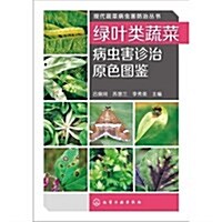 綠葉類蔬菜病蟲害诊治原色圖鑒/现代蔬菜病蟲害防治叢书 (平裝, 第1版)