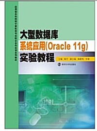 應用型本科院校計算机類专業校企合作實训系列敎材:大型數据庫系统應用Oracle11g實验敎程 (平裝, 第1版)
