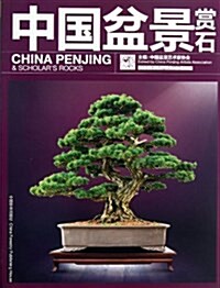 中國盆景赏石(2013.8) (平裝, 第1版)