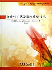 合成氣工藝及蒸汽重整技術 (平裝, 第1版)