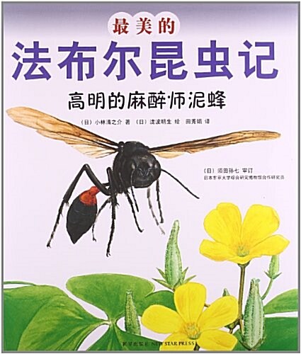 最美的法布爾昆蟲記:高明的麻醉師泥蜂 (平裝, 第1版)