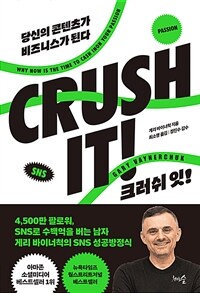 크러쉬 잇! : 당신의 콘텐츠가 비즈니스가 된다 표지이미지