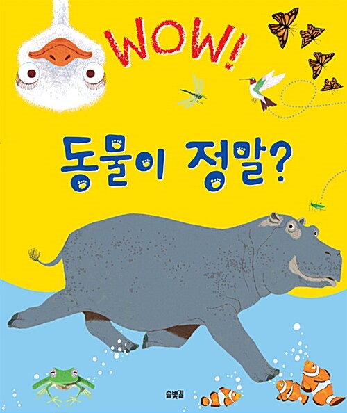 (Wow!)동물이 정말?