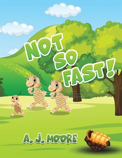 Not So Fast! (Paperback)