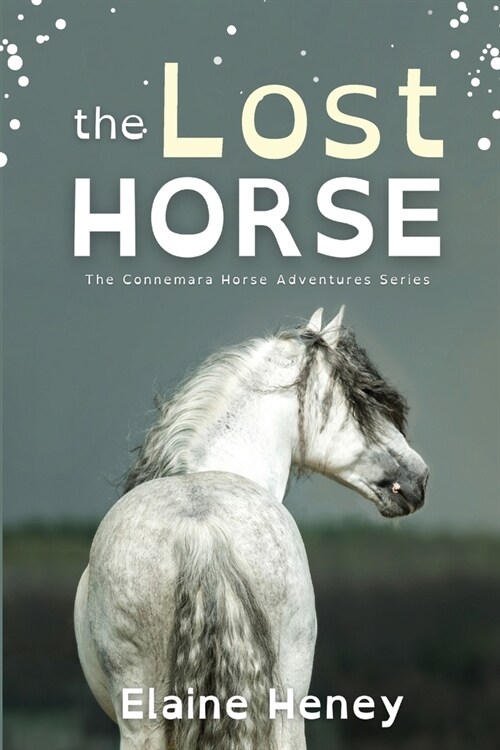 The Lost Horse - Dyslexia Friendly (Paperback)