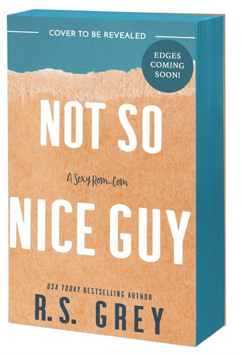 Not So Nice Guy (Paperback)