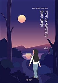 밝은 밤을 건너는 중입니다 : 백수, 헤맴의 기쁨과 슬픔 표지이미지