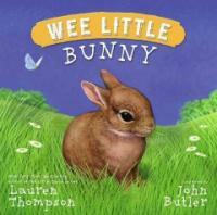 Wee Little Bunny (Hardcover)