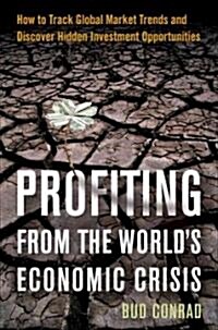 [중고] Profiting from the World‘s Economic Crisis : Finding Investment Opportunities by Tracking Global Market Trends (Hardcover)