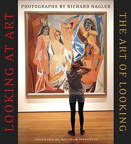 Looking at Art, the Art of Looking (Paperback)
