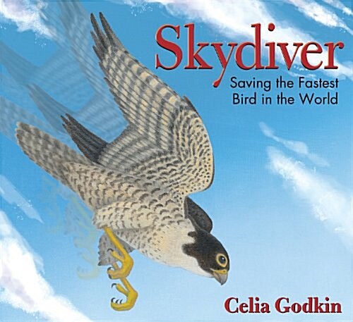 Skydiver: Saving the Fastest Bird in the World (Hardcover)