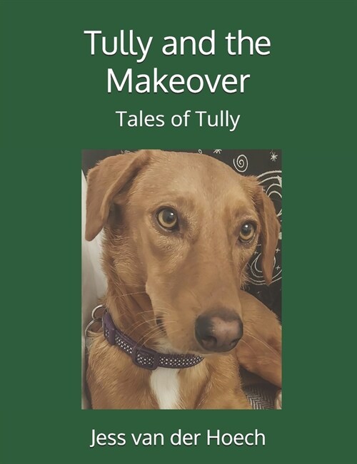 Tully and the Makeover (Paperback)