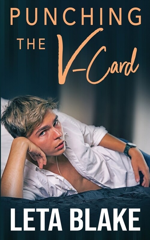 Punching the V-Card (Paperback)