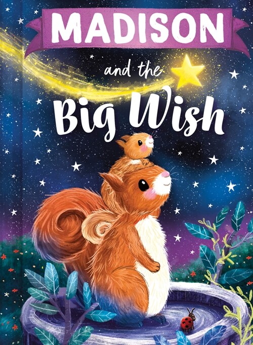 Madison and the Big Wish (Hardcover)