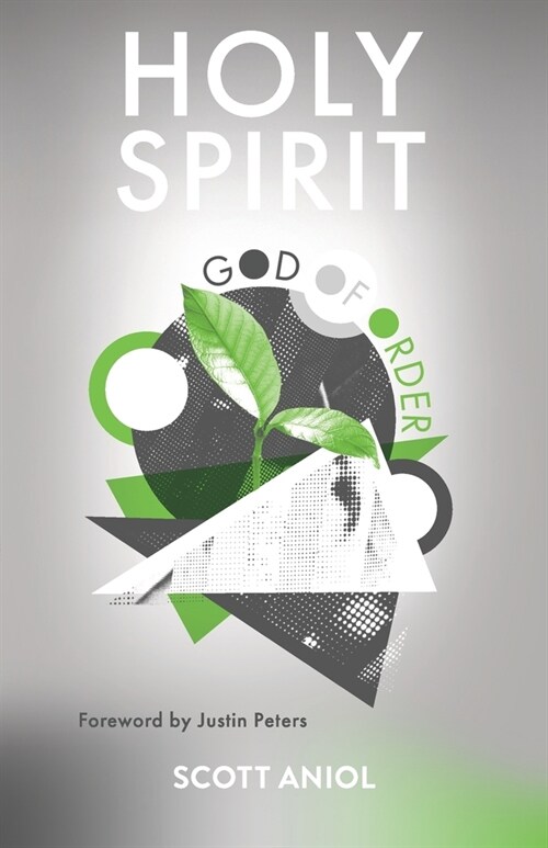 Holy Spirit God of Order (Paperback)