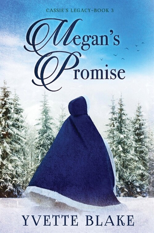 Megans Promise (Hardcover)