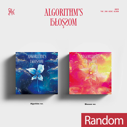 (폴라로이드 이벤트 응모) 큐더블유이알 - 미니 2집 Algorithms Blossom [2종 중 랜덤발송]