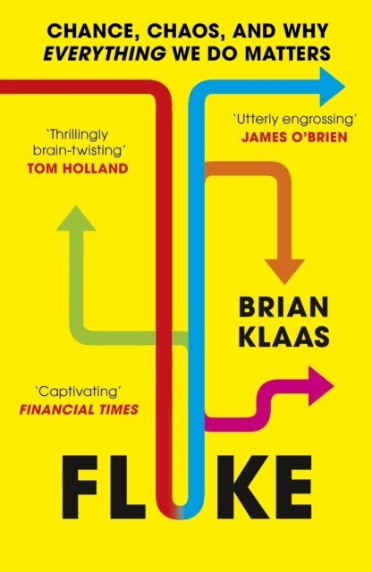 Fluke : Chance, Chaos, and Why Everything We Do Matters (Paperback)