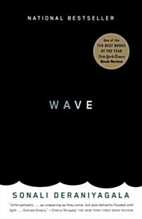 Wave: A Memoir (Paperback)