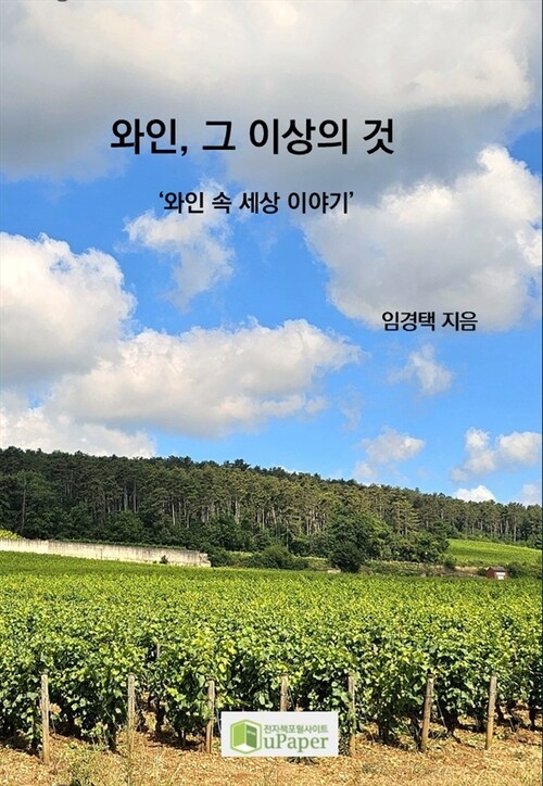 와인, 그 이상의 것