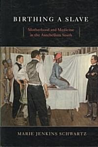 Birthing a Slave: Motherhood and Medicine in the Antebellum South (Paperback)