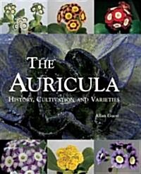 Auricula: History, Cultivation and Varieties (Hardcover)