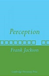 Perception : A Representative Theory (Paperback)