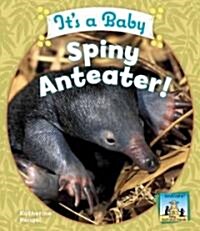 Its a Baby Spiny Anteater! (Library Binding)