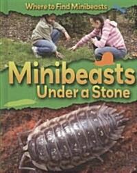 Minibeasts Under a Stone (Library Binding)