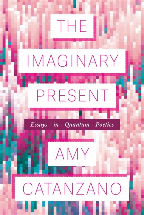 The Imaginary Present: Essays in Quantum Poetics (Paperback)