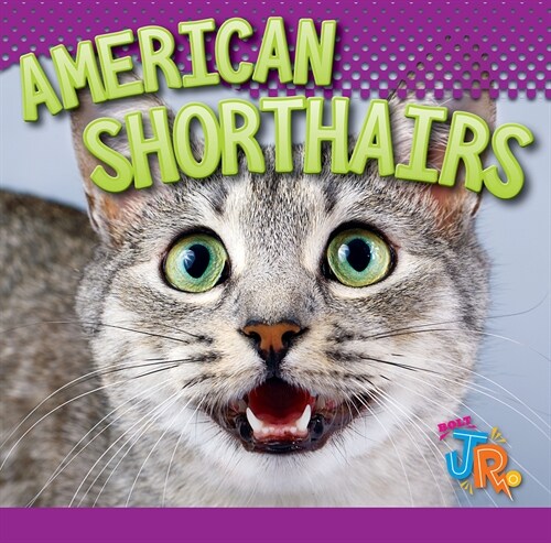 American Shorthairs (Library Binding)