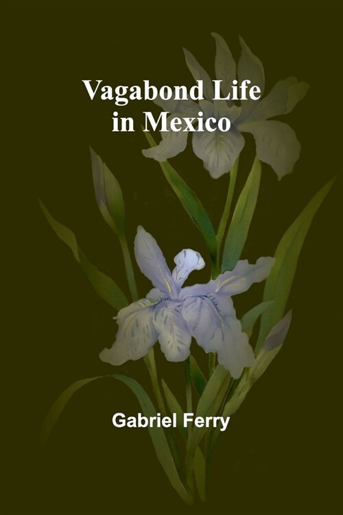 Vagabond Life in Mexico (Paperback)