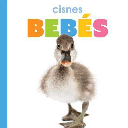 Cisnes Beb? (Library Binding)