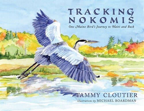 Tracking Nokomis (Paperback)