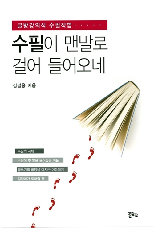 수필이 맨발로 걸어 들어오네 : 글방강의식 수필작법