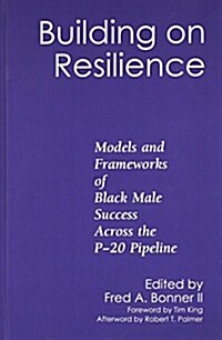 Building on Resilience: Models and Frameworks of Black Male Success Across the P-20 Pipeline (Hardcover)