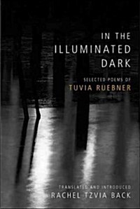 In the Illuminated Dark (Hardcover)