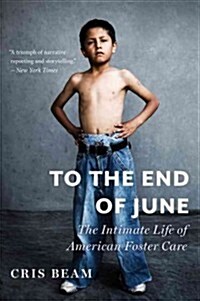 To the End of June: The Intimate Life of American Foster Care (Paperback)