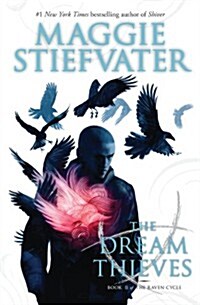 The Dream Thieves (the Raven Cycle, Book 2): Volume 2 (Paperback)