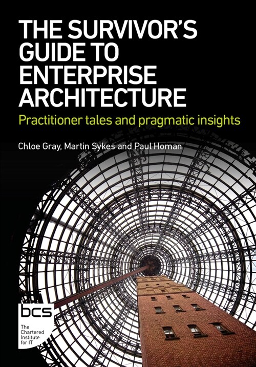 The Survivors Guide to Enterprise Architecture : Practitioner tales and pragmatic insights (Paperback)