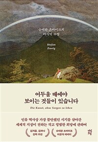 어두울 때에야 보이는 것들이 있습니다 : 슈테판 츠바이크의 마지막 수업 표지이미지