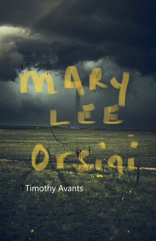 Mary Lee Orsini (Paperback)