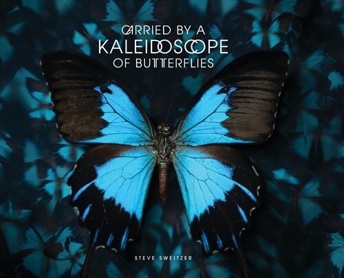 Carried by a Kaleidoscope of Butterflies (Hardcover)