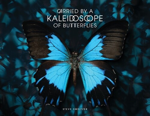 Carried by a Kaleidoscope of Butterflies (Paperback)